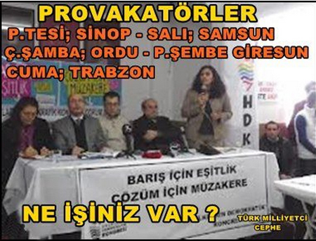 Kedi değil hırsız, hırsız! &#8211; Ferda Koç