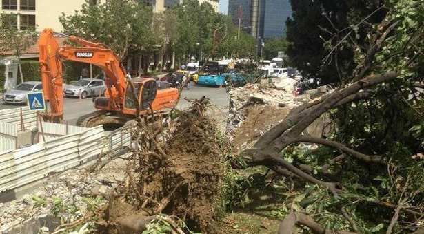 Gezi Parkı’nda direniş: 29 Mayıs programı