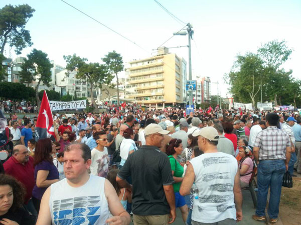 ant2