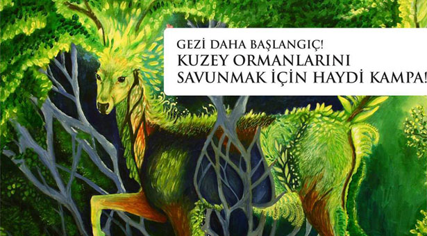 Kuzey Ormanları seni çağırıyor!