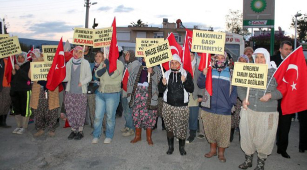 Silifkeli tarım işçilerinin ücret isyanı