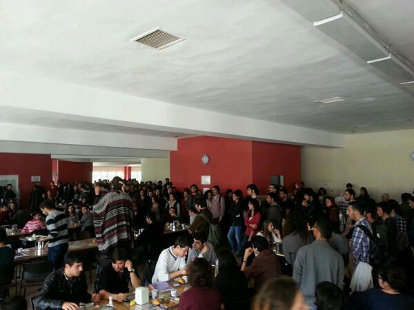 ant-berkin