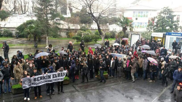 macka-berkin