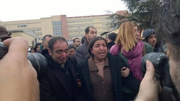 berkin-anne