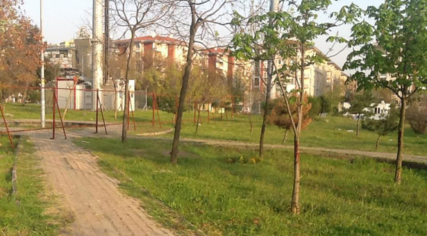 &#8216;Cami için 200 ağaç kesilecek&#8217;