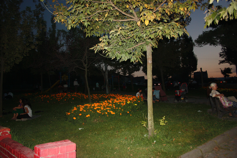 halkevi-park