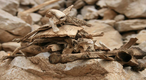‘Katliam ve inkar tuğlası ile örülü bir ülke’