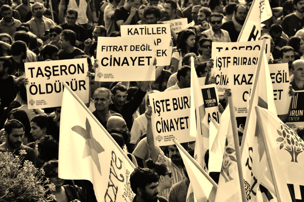 torun8
