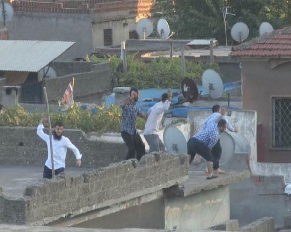 amed-hz