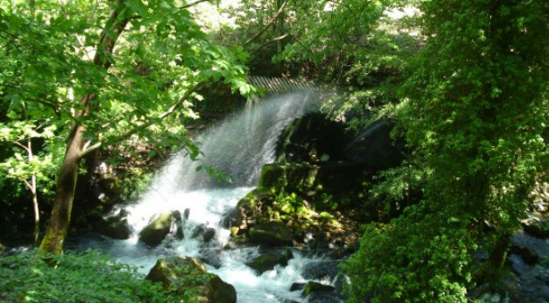 1300 yıllık Ciğer Gölü Turbalık’ı altın madenciliği ile yok ediliyor