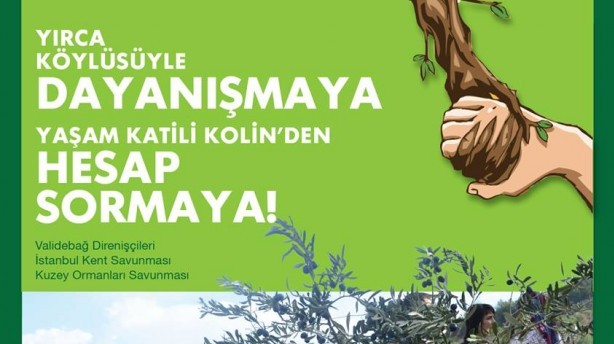 Zeytinlerin hesabını sormaya Kolin önüne!