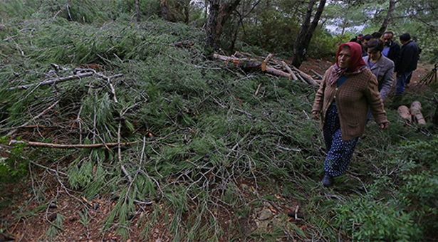 İzmir Ovacık’taki RES’e yürütmeyi durdurma