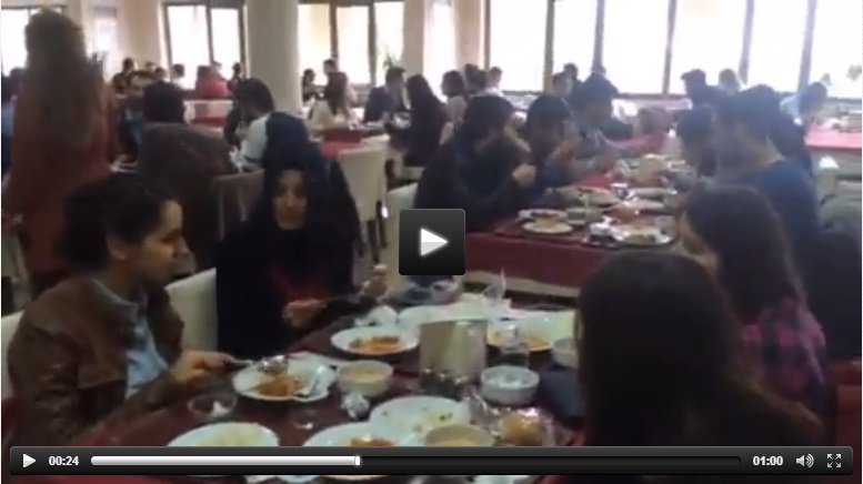 ses-cıkar