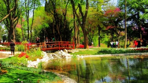 Emirgan Korusu satılacak mı?