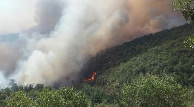 Mersin&#8217;de Akkuyu Nükleer Santrali&#8217;nin yakınında orman yangını