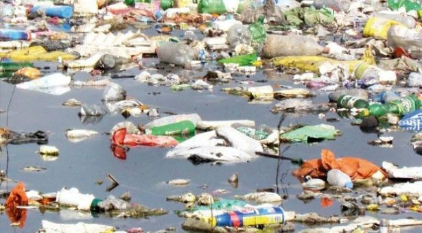 Ege&#8217;de doğa katliamı: Uyarılar dikkate alınmadı, tonlarca atık denize döküldü