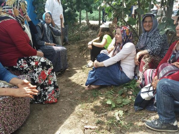 Fatsa: Fındıklar toplanacak, yakılan çadır yeniden kurulacak – Türkan Karakuş