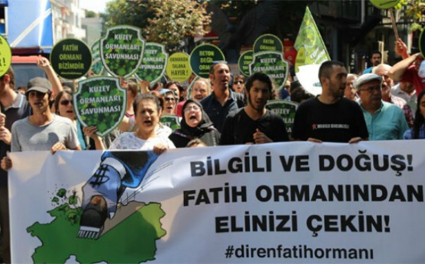 Fatih Ormanı&#8217;nda Bilgili-Doğuş talanında &#8220;resmi süreç&#8221; başladı