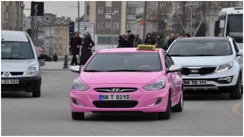Sivas ve pembe taksi &#8211; İsmail Topkaya