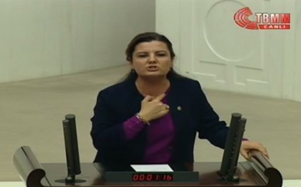 CHP&#8217;li Fatma Kaplan: Yere batsın Saray&#8217;ınız, yere batsın başkanlığınız