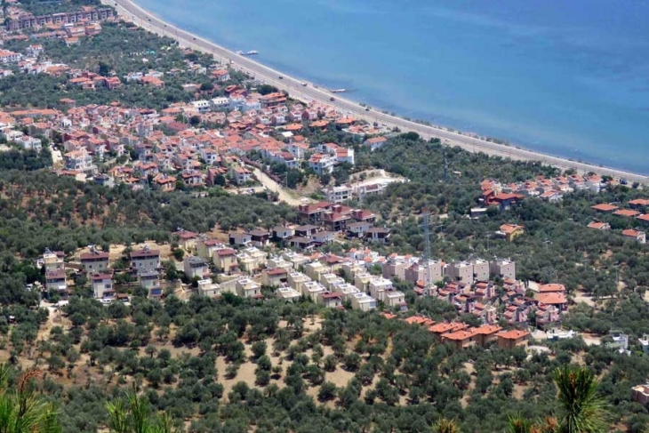 Zeytinlikler için bir başka tehlike: Yazlık site inşaatları durmadan sürüyor