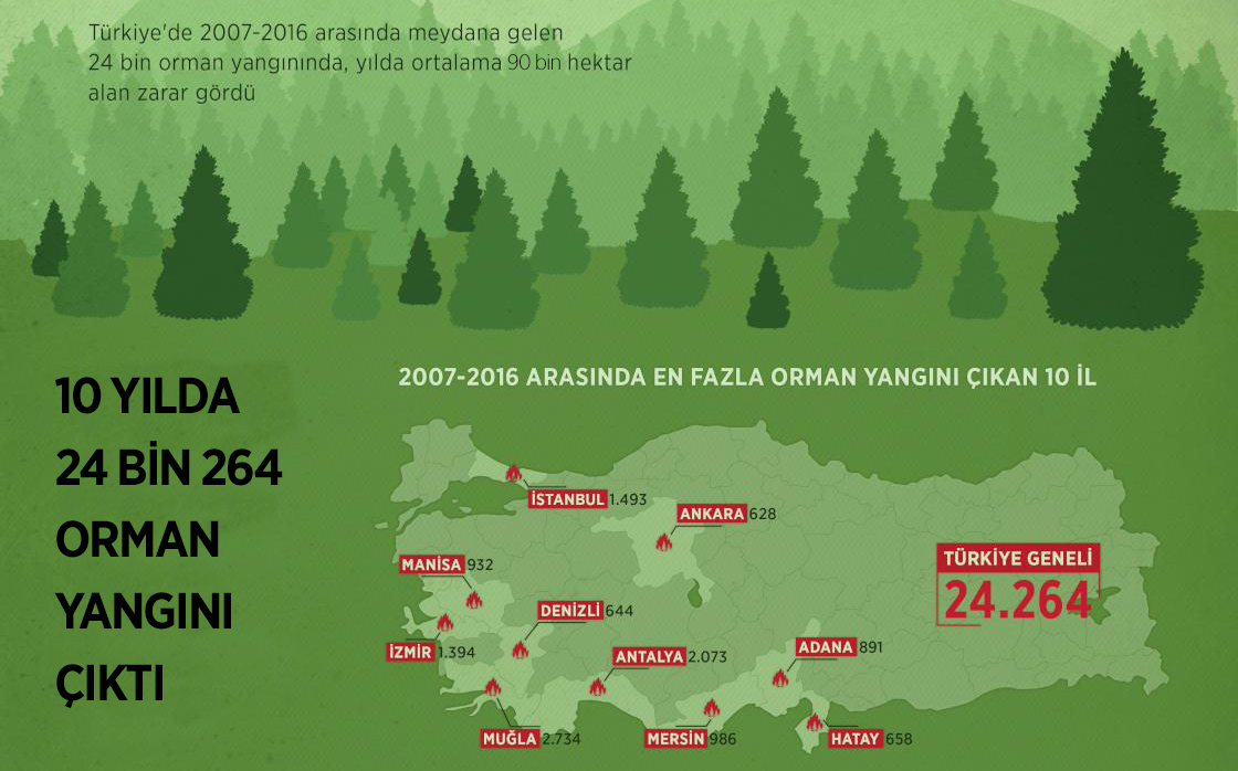 Türkiye’de on yılda 24 bin orman yangını çıktı
