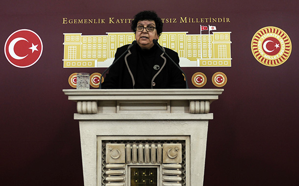 15-21 Ocak Hak İhlalleri Raporu – Şenal Sarıhan