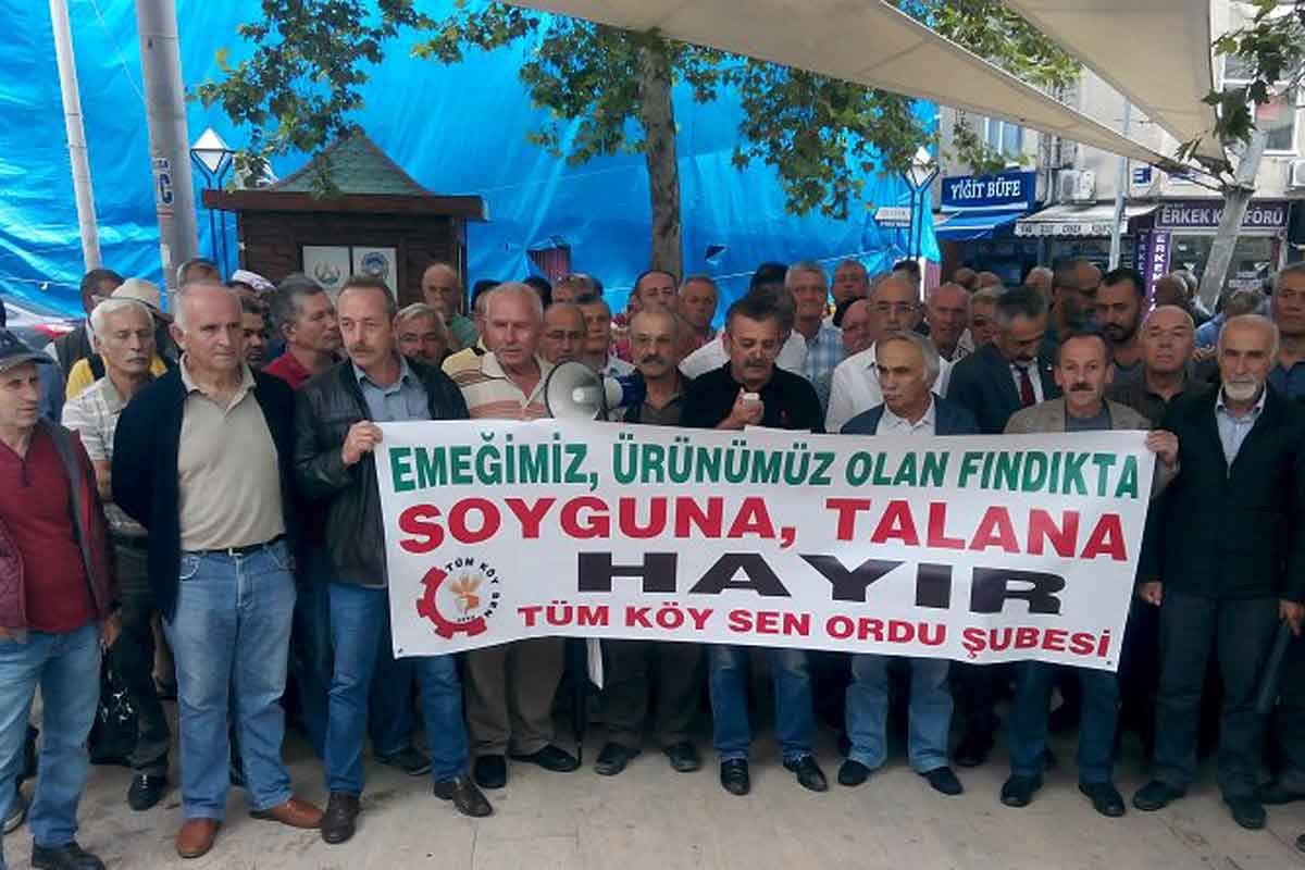 Tüm Köy Sen: “İhracatçılar örgütlü, üreticiler de örgütlenmeli”