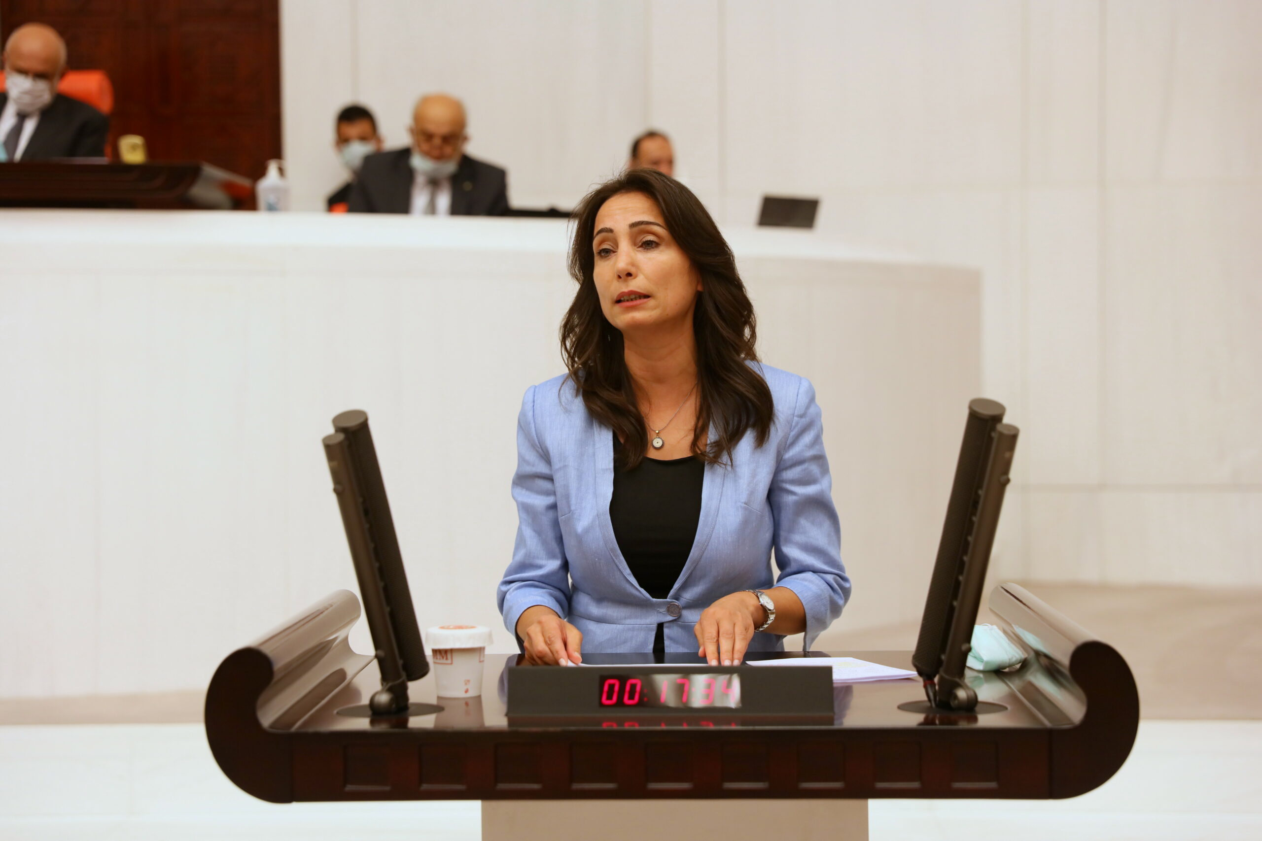 HDP Milletvekili Tülay Hatimoğulları&#8217;ndan kadın cinayetleri için TBMM Başkanlığına araştırma önergesi