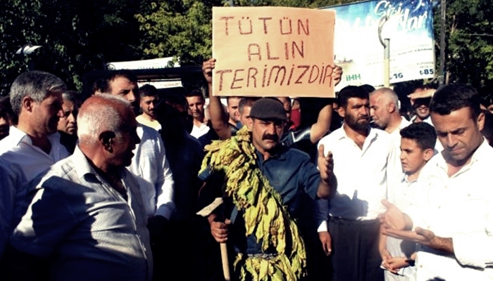 Adıyaman&#8217;da tütün işçilerine ev baskını