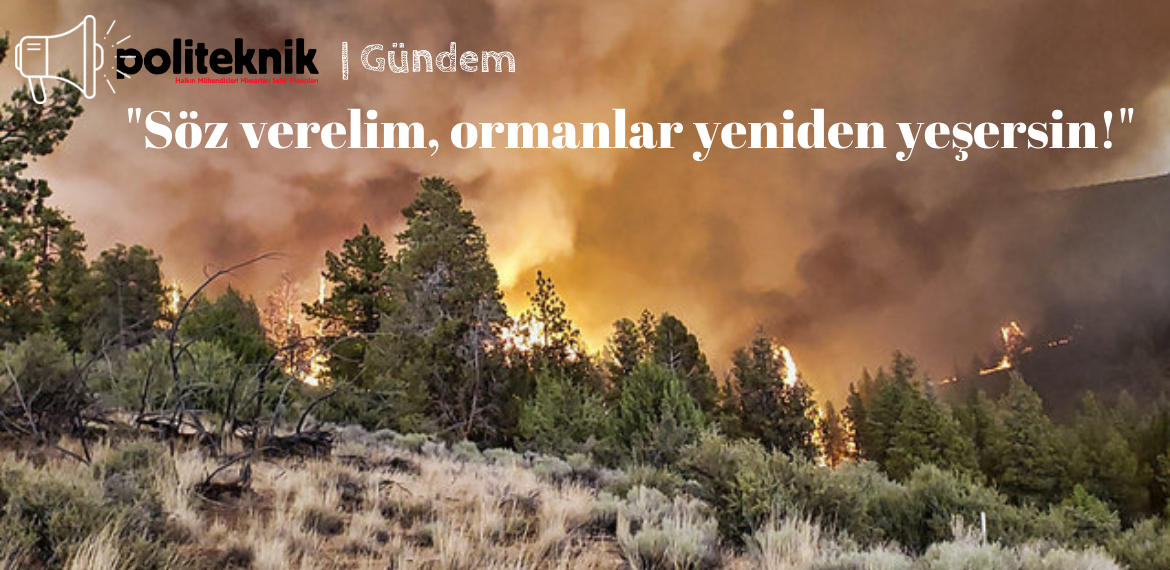 Politeknik&#8217;ten mühendis, mimar ve şehir plancılarına çağrı: &#8220;Söz verelim, ormanlar yeniden yeşersin!&#8221;
