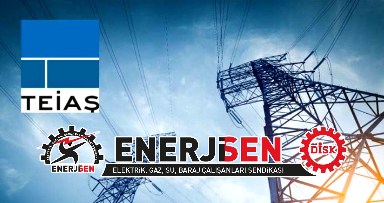 Enerji-Sen: TEİAŞ özelleştirilemez, bütün enerji üretim ve dağıtımı kamulaştırılmalıdır