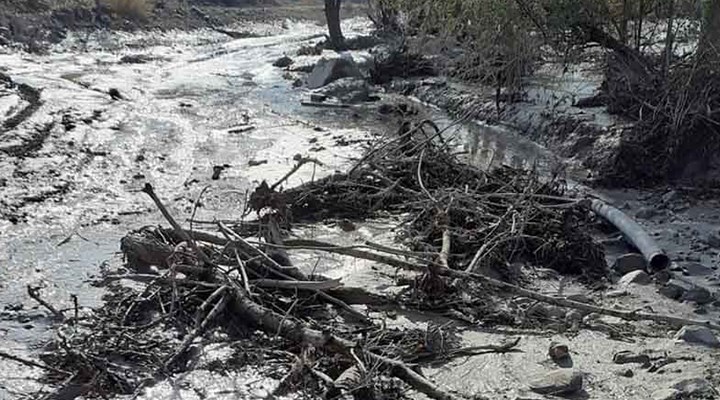 Çevre felaketinin karanlık tarihi – Bahadır Özgür (BirGün)