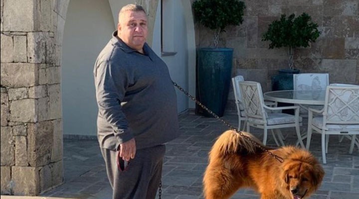 Falyalı cinayeti: Yeraltından gelen uğultu – Bahadır Özgür (BirGün) Falyalı cinayeti: Yeraltından gelen uğultu – Bahadır Özgür (BirGün)