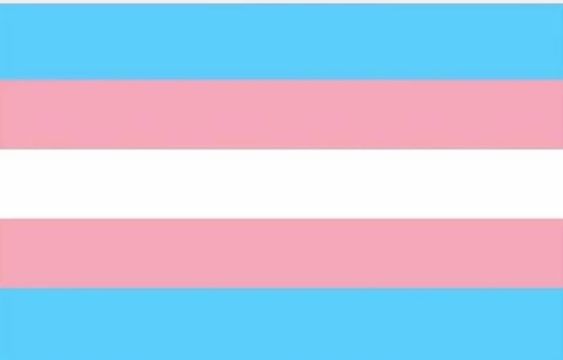 Transgender &#8211; Berfu Şeker (Feminist Bellek)