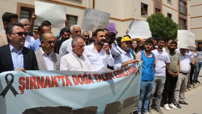 Şırnak’ta orman katliamına tepki: &#8220;Kıyımı yapanlar cezalandırılsın&#8221;