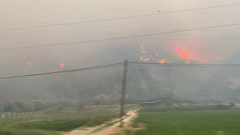 Aydın Söke&#8217;de ormanlık alanda yangın