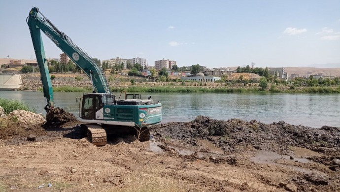 Kayyum yönetimindeki Cizre Belediyesi, nesli tükenme tehlikesinde olan su samurları ile birçok kuş türünün yaşadığı çalılıkları yerinden söktü