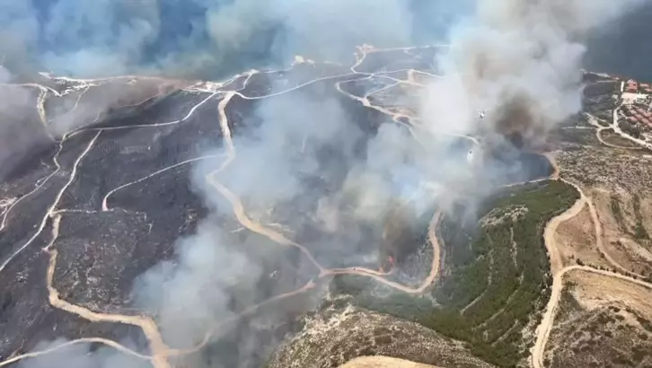 Çeşme&#8217;de orman yangını: 3 kişi hayatını kaybetti