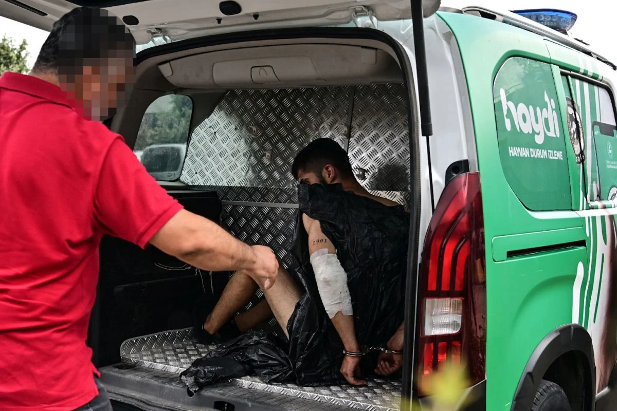 İHD, işkenceye soruşturma açılmasını talep etti