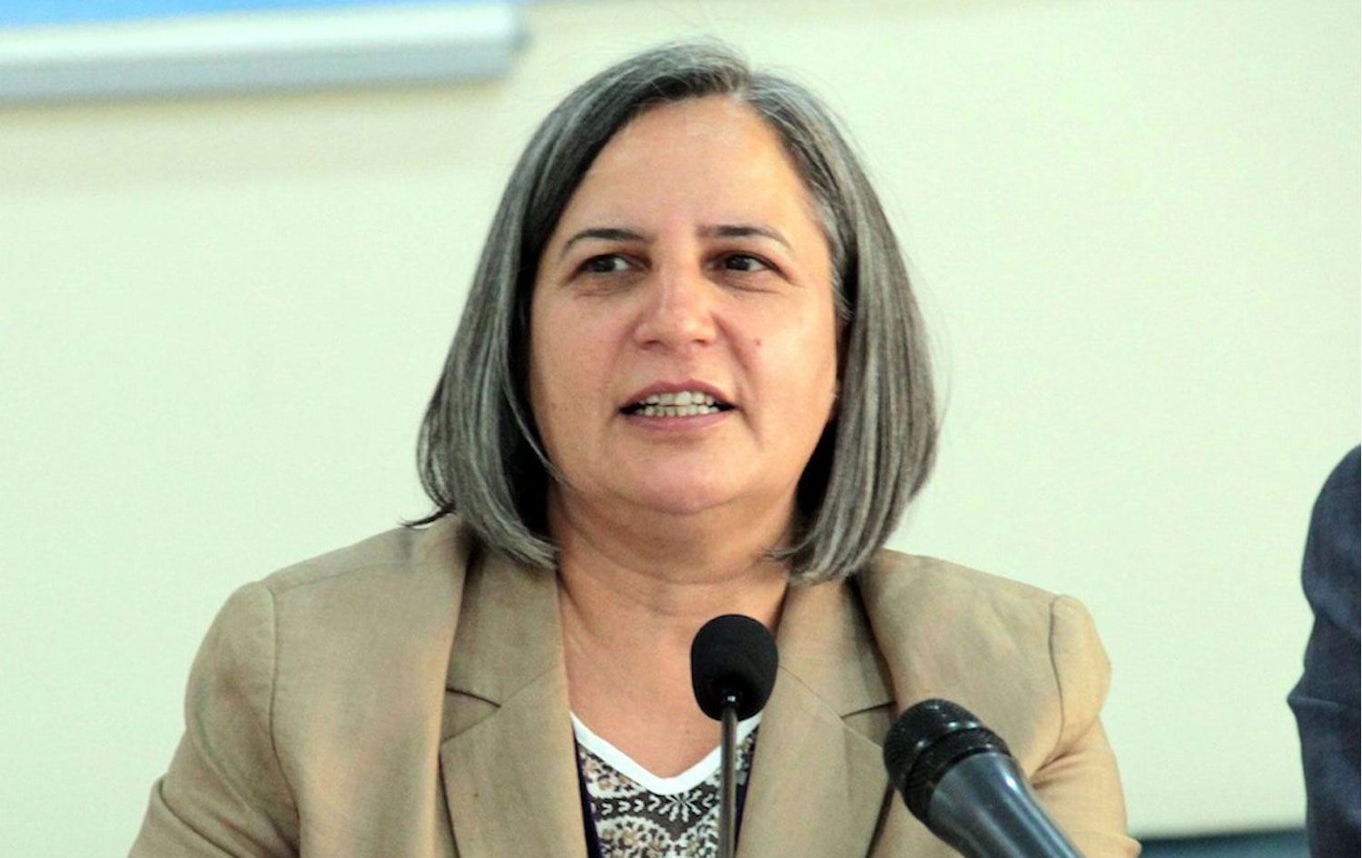 Gültan Kışanak: &#8220;Erdoğan ve Bahçeli arasında görüş ayrılığı yok, bir işbölümü var&#8221;