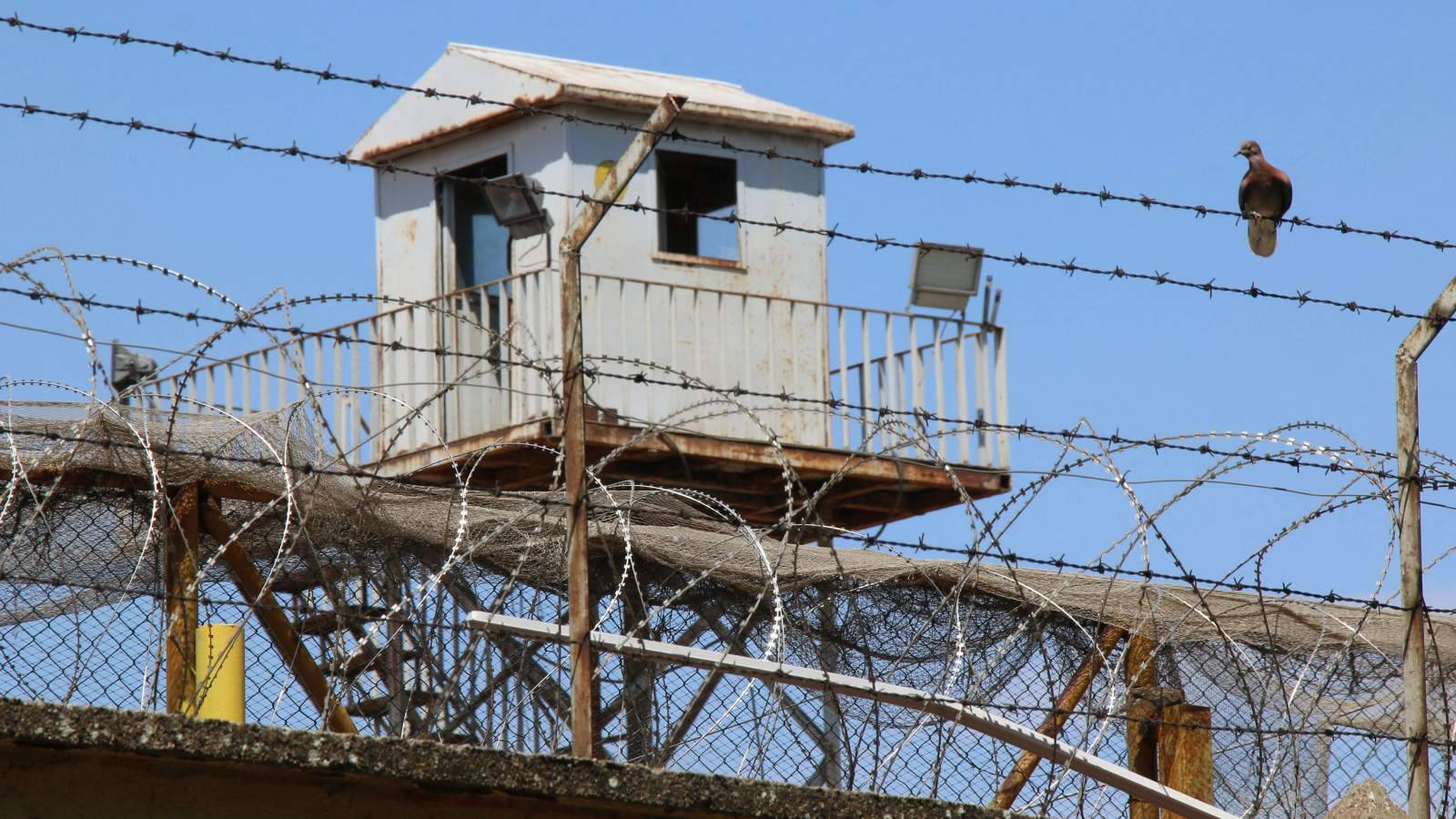 Şaşıracağınız bir haber: İnsan hasta olan bir canlı – Çiğdem Mater (T24)