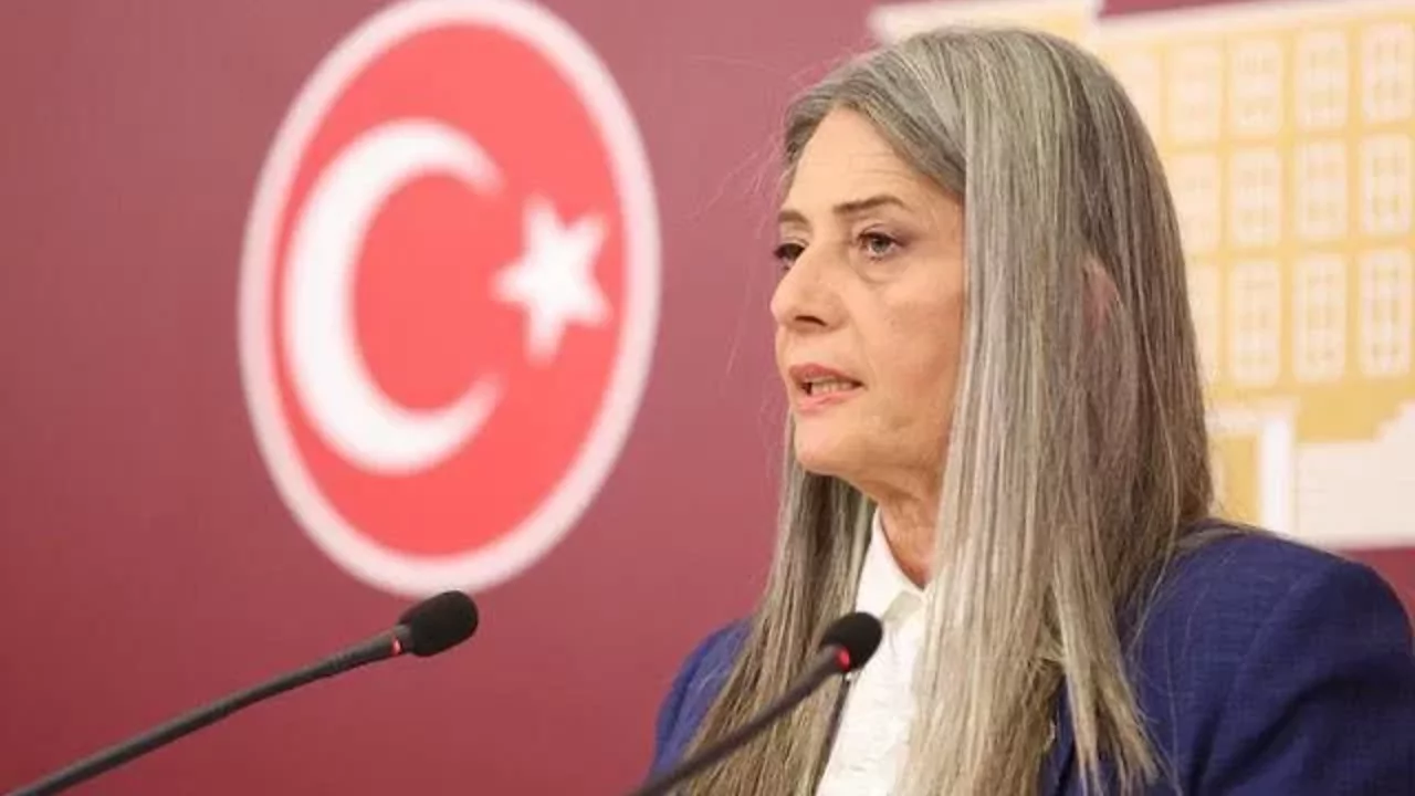 CHP’li Suiçmez’den Meclis’te İlayda Zorlu açıklaması: “Bu dosyanın intihar denilerek kapatılmasına izin vermeyeceğiz”