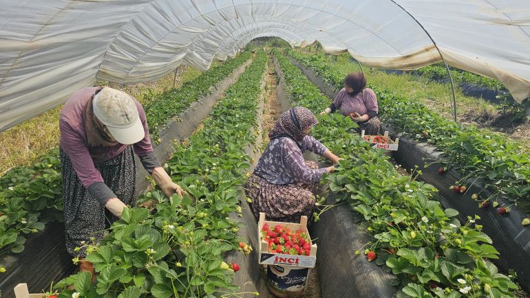 kendine ait bir ücretin peşinde – ayşe düzkan (Kadın İşçi)